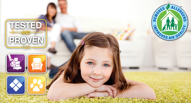 Stop Allergens in the Home Prevent Allergens with Chem-Dry