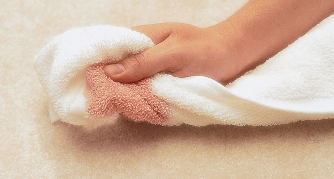 Carpet Stain Protection Carpet Stain Protection