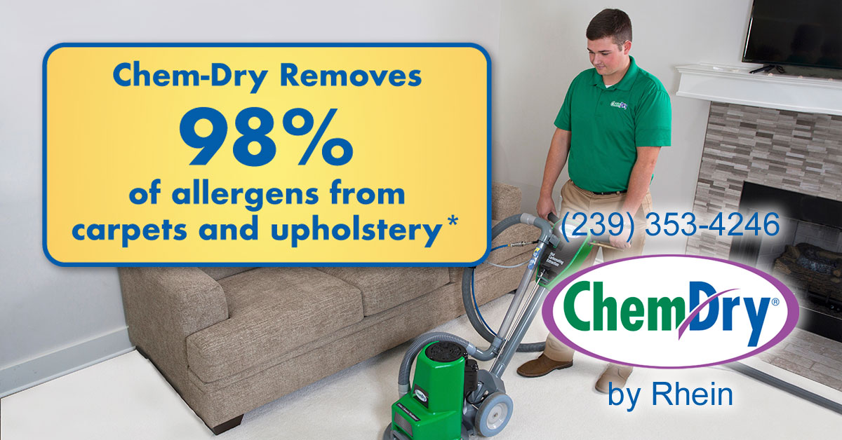 carpet-cleaning-chem-dry-by-rhein-drier-cleaner-healthierchem