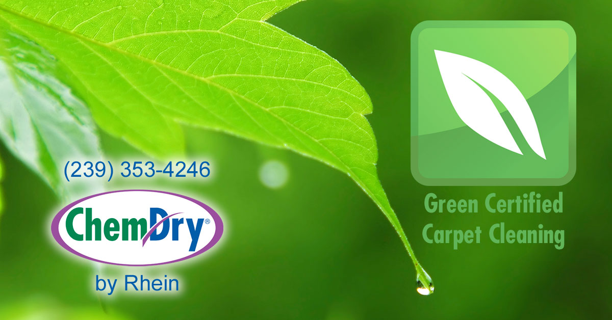 Green Certified Carpet Cleaning ChemDry by Rhein